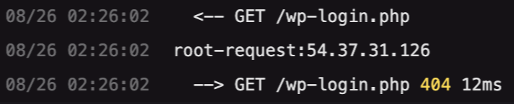 ddos-log-2